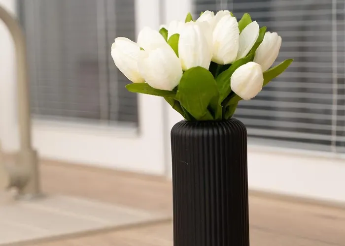 Apartament Pet-house